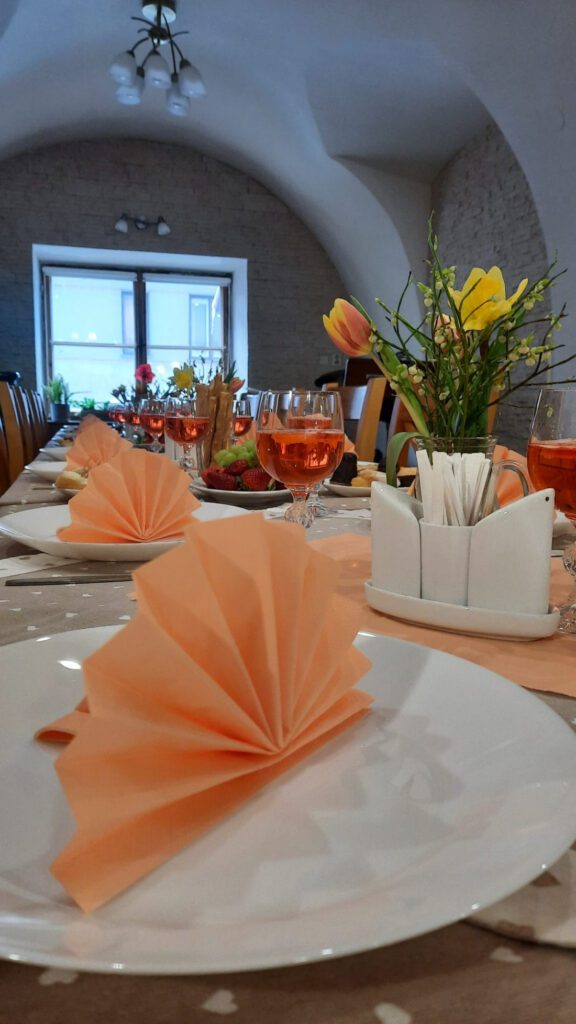 Alena Sršňová / Sociální podnik v Nekoři