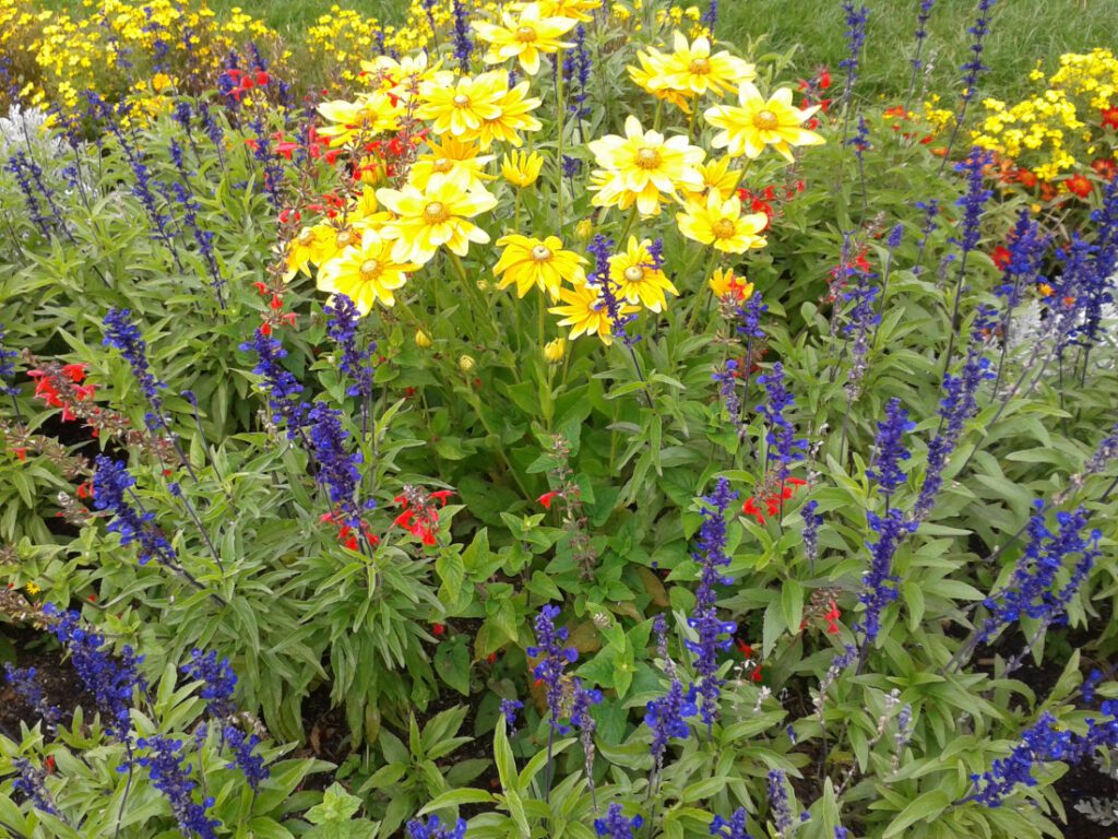 Dobrá ekonomika, s.r.o.