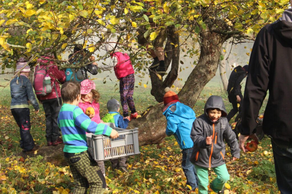 CSA Biostatek., z.s.