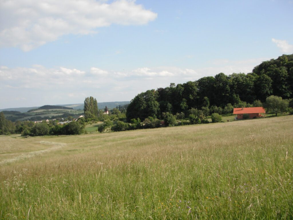 CSA Biostatek., z.s.