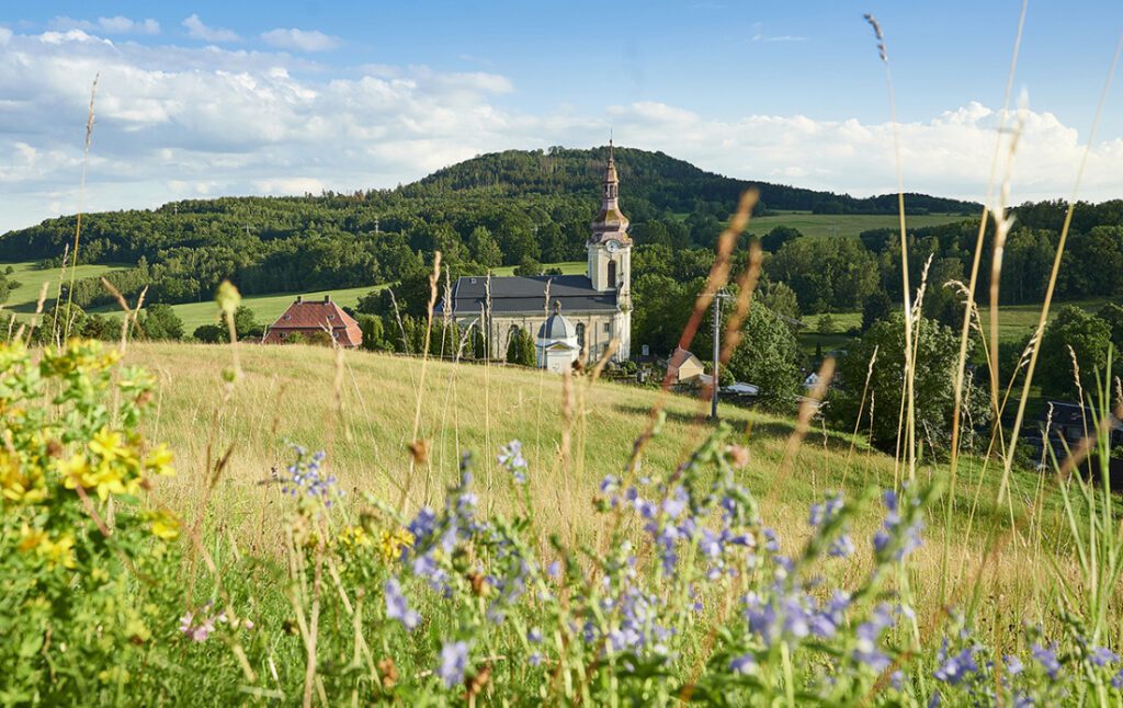 Koukol v obilí, z.s.