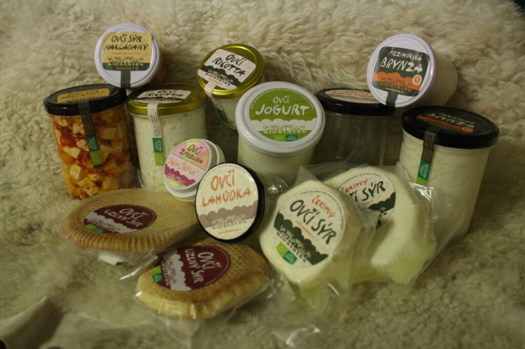 CSA Biostatek., z.s.