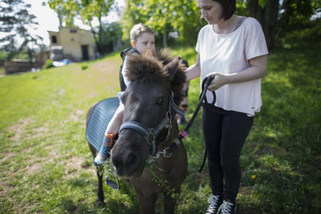 Farma Ledecká zahrada