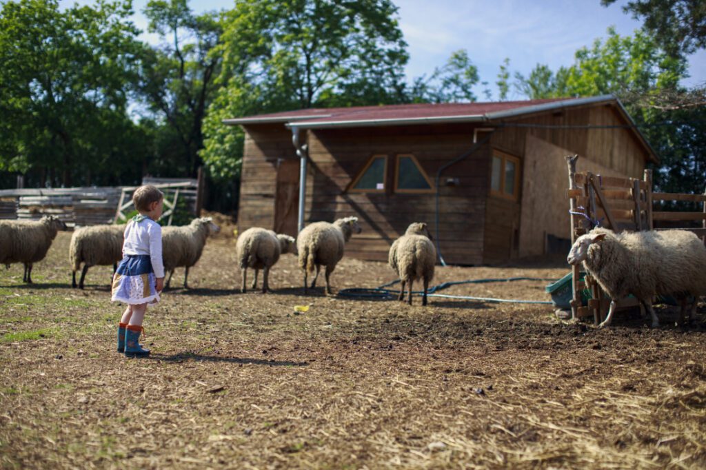 Farma Ledecká zahrada