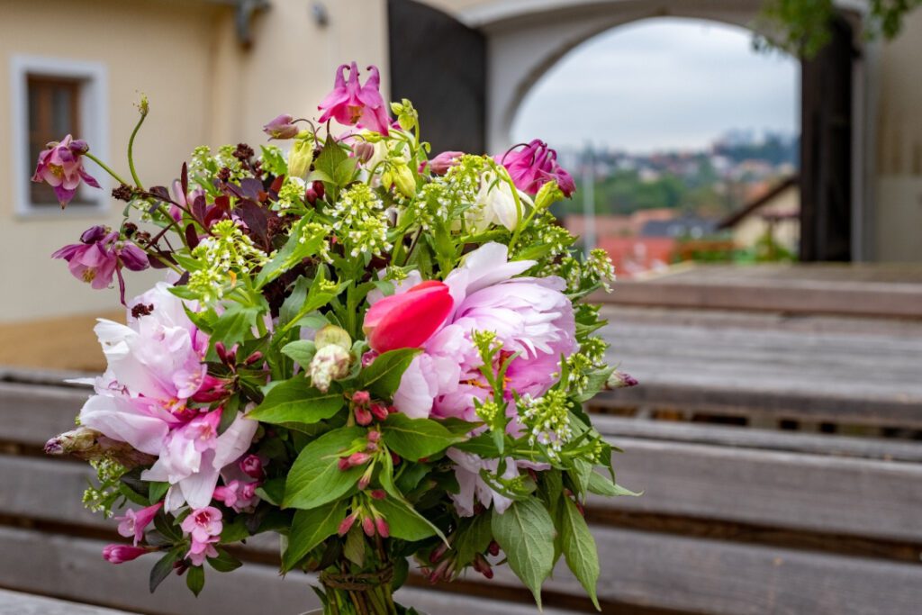 ENVIRA, o.p.s. – Zahradnictví