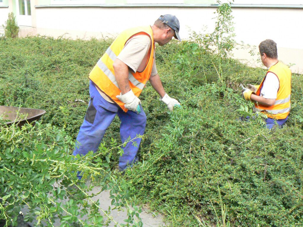 CF sociální firma, s.r.o.