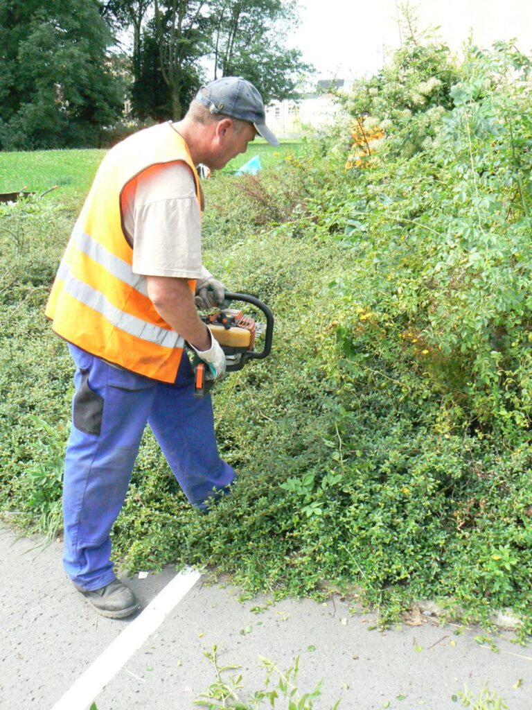 CF sociální firma, s.r.o.