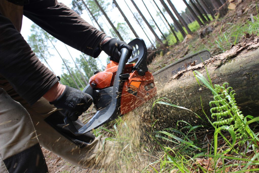 Lesní četa a rukodělná dílna Havlíčkův Brod