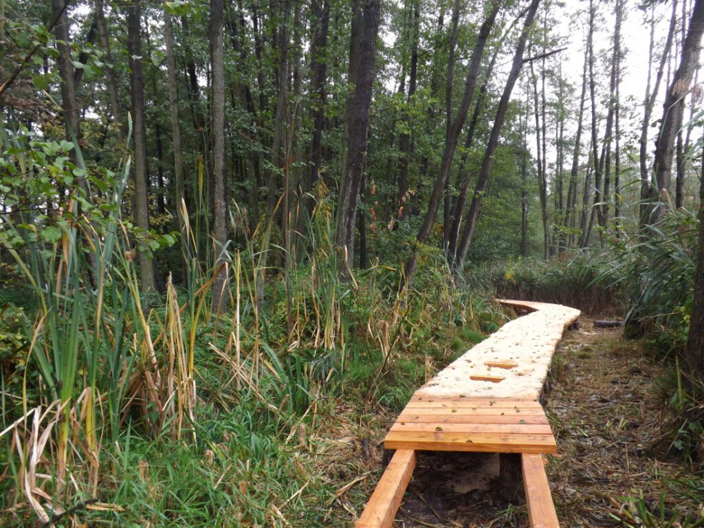 ENVIRA, o.p.s. – Správa a údržba budov a areálu Toulcova dvora