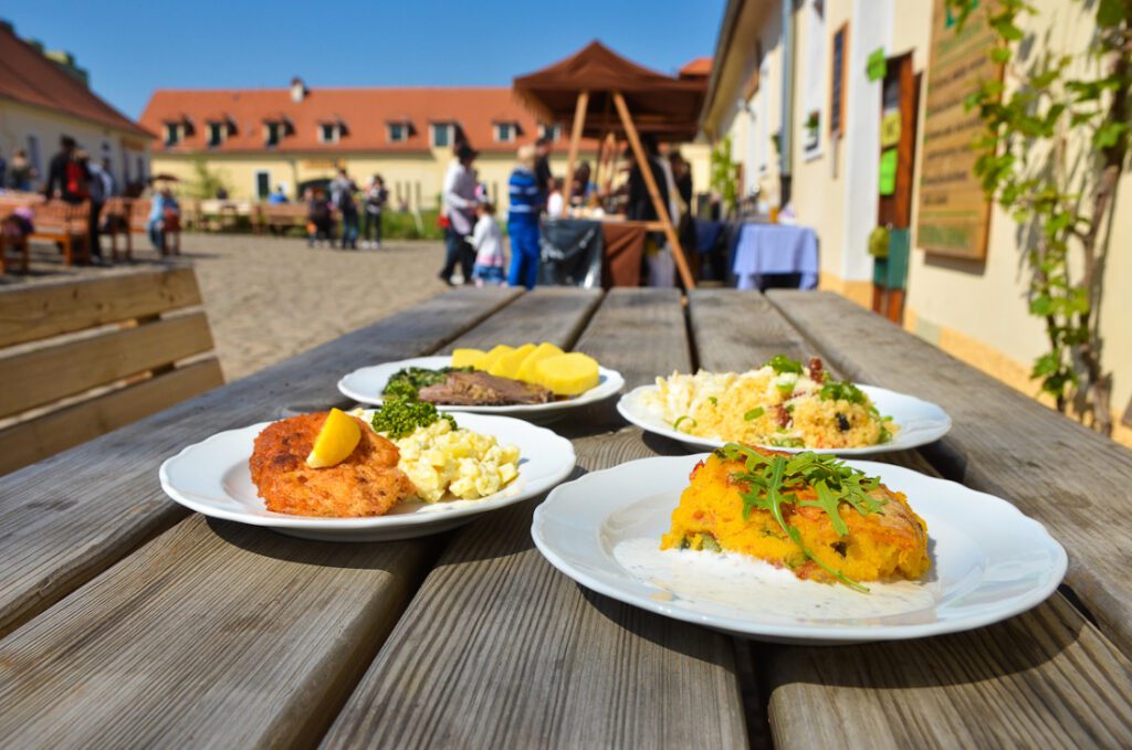 ENVIRA, o.p.s. – Zdravá jídelna