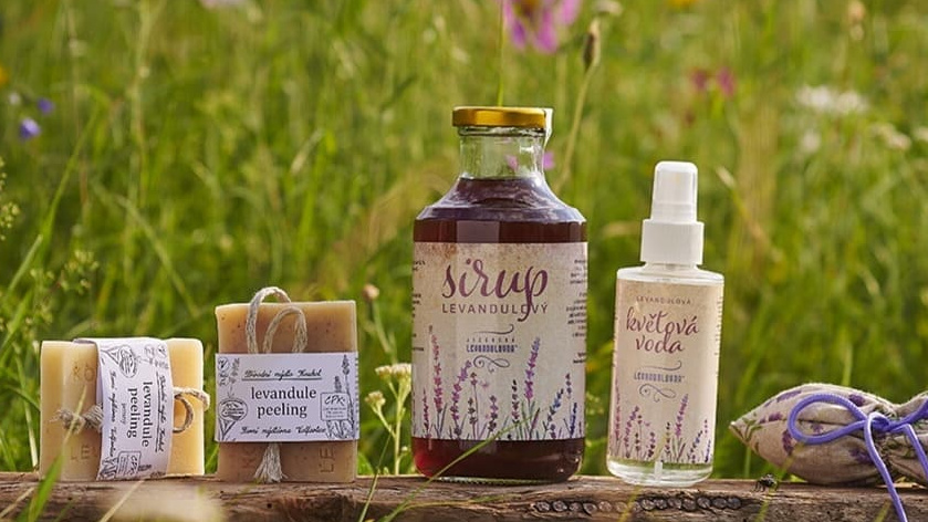 Environmentální sociální podnikání 2021