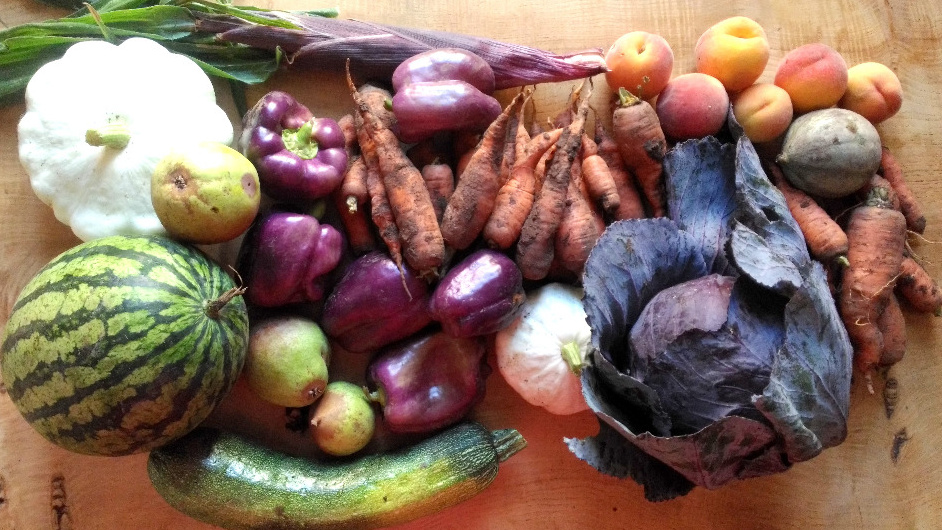 Komunitou podporované zemědělství 2.0