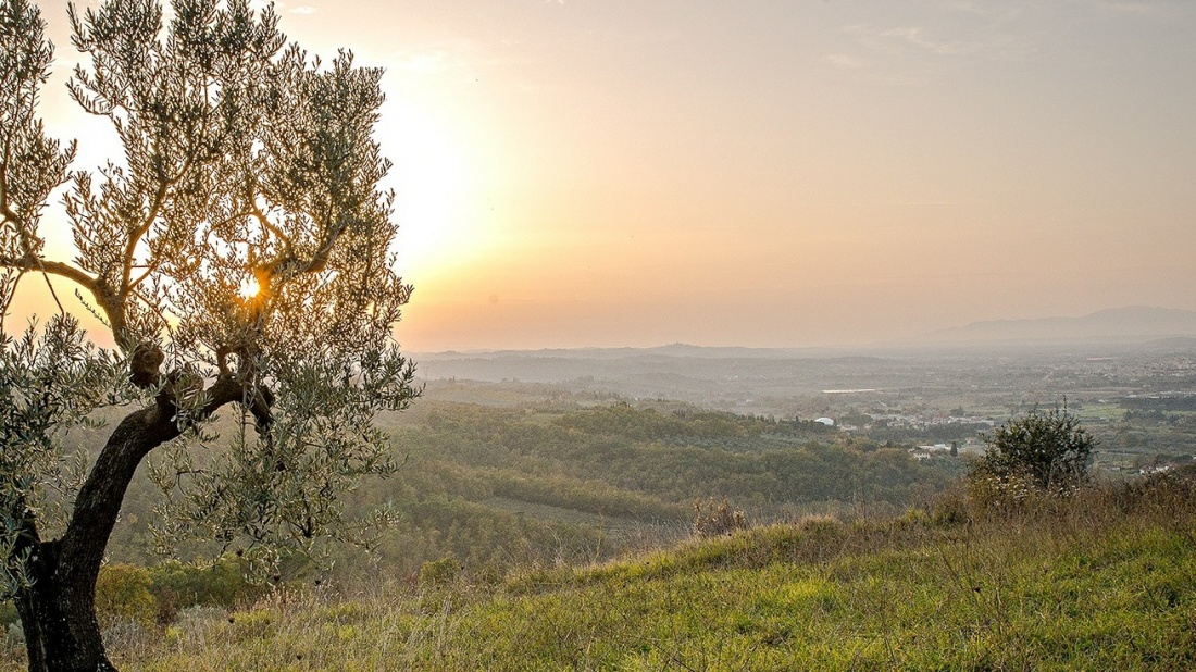 Environmentální sociální podniky: důraz na lidi a přírodu