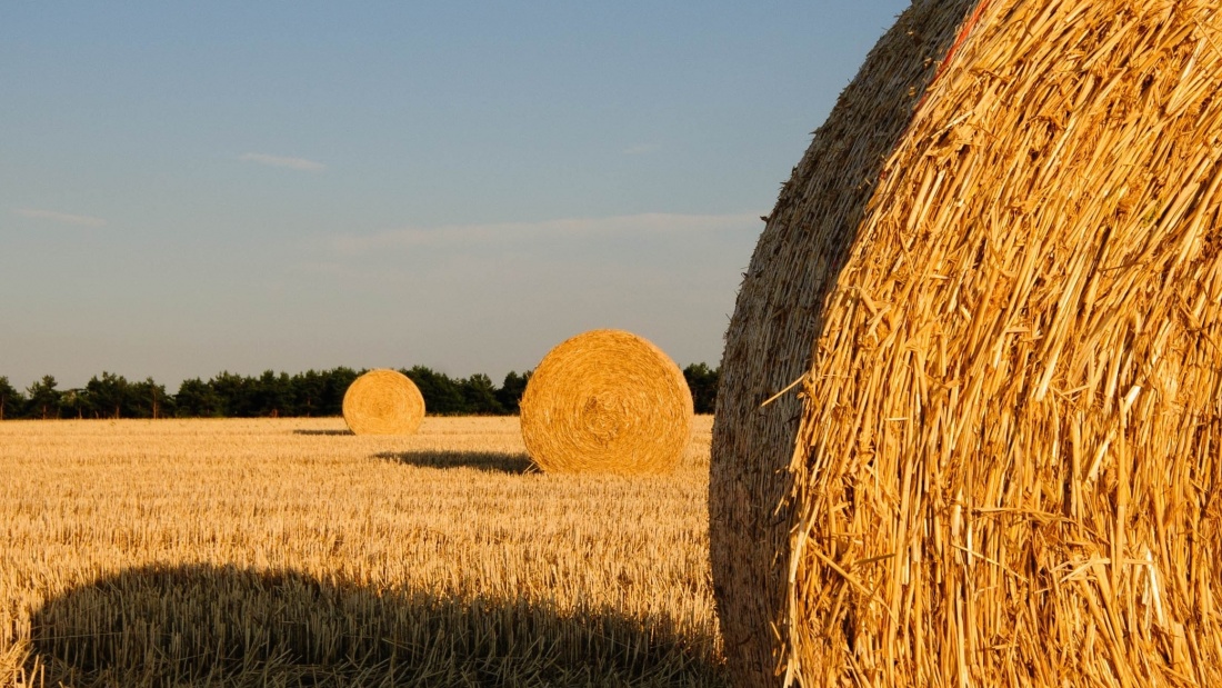 Plavnická, s. r. o., usiluje o vytvoření komunity