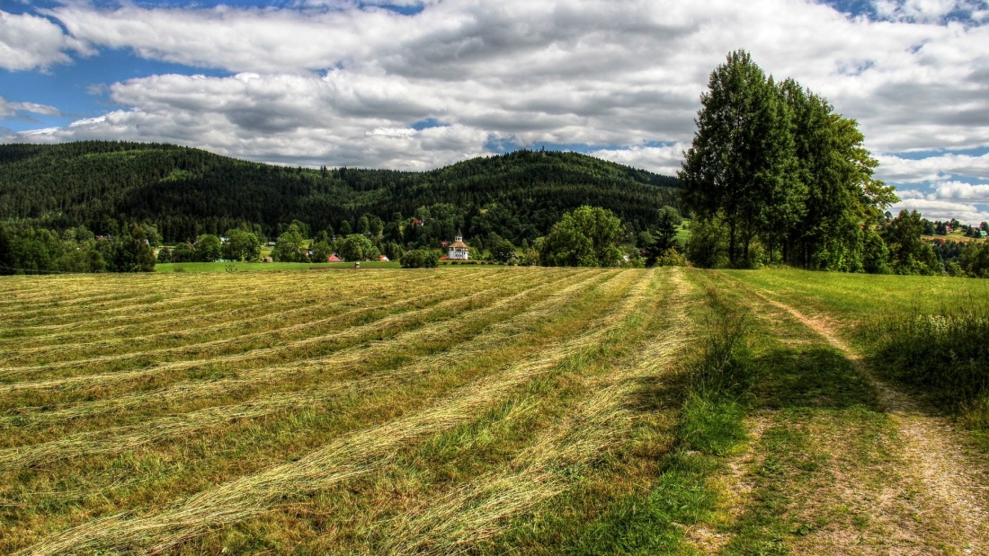 Podnikání pro lidi i planetu