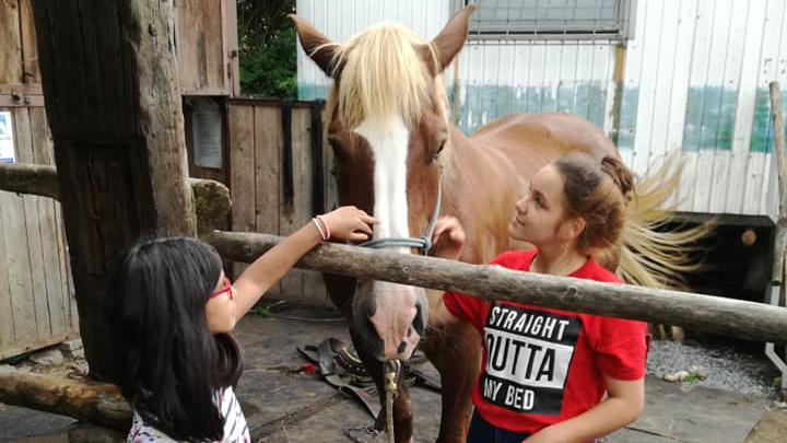 Koňský dvorec Chmelištná