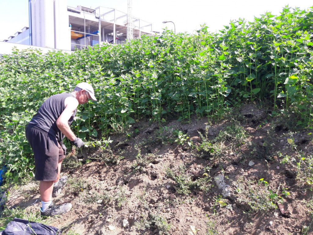 Naděje otrokovická – Úklid Otrokovice