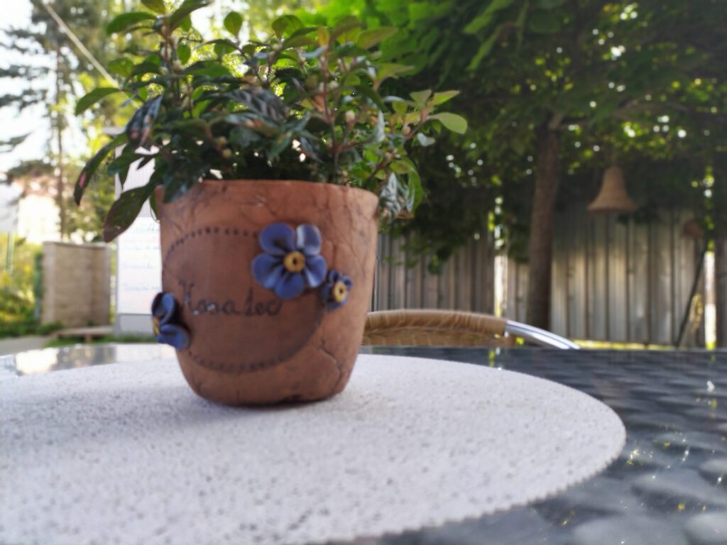 Centrum Kosatec, z. s.