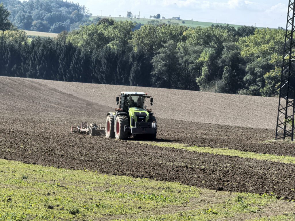 Zemědělské družstvo Maleč