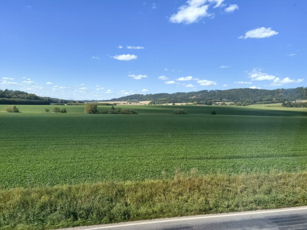 Zemědělské družstvo Maleč