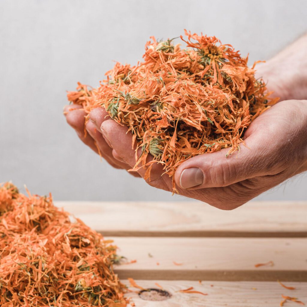 Statek Cidlina s.r.o.